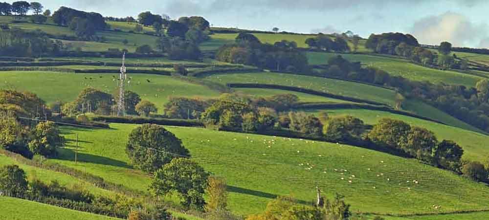 wide shot of bishops cleve